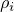 $\rho_i$