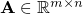 $\mathbf A \in \mathbb{R}^{m \times n}$